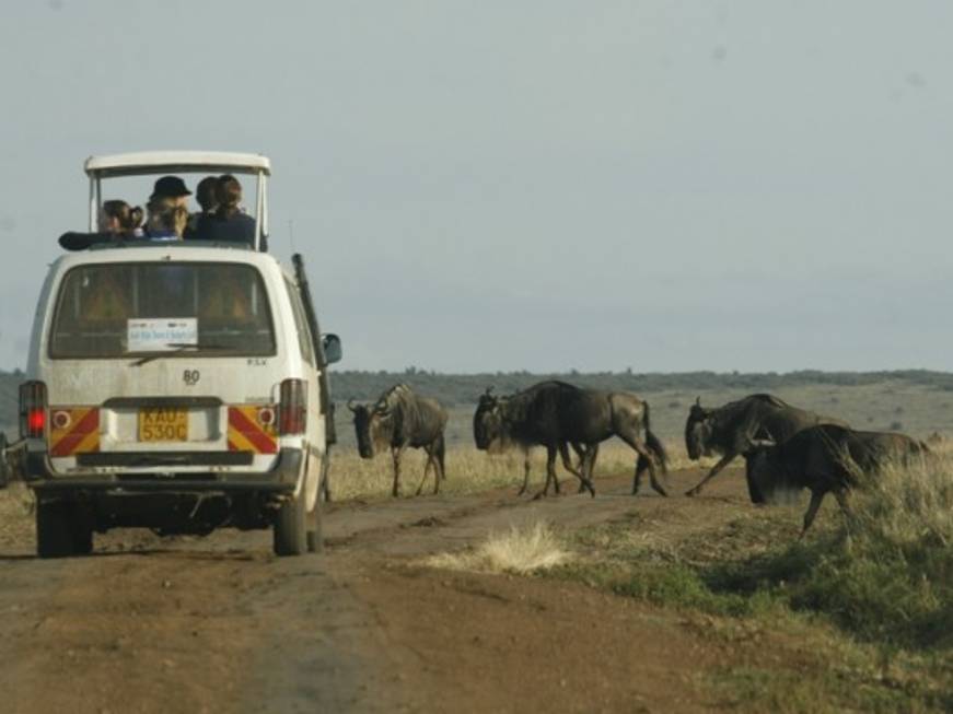 L&amp;#39;ente del Kenya stringe il legame con il trade