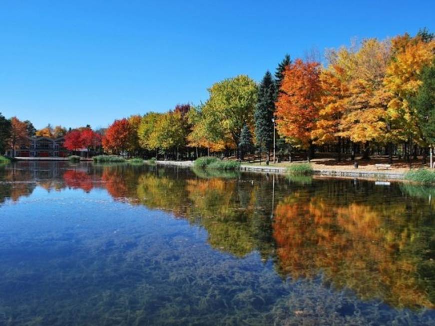 Vancouver la città più 'friendly' con i turisti. Roma fanalino di coda