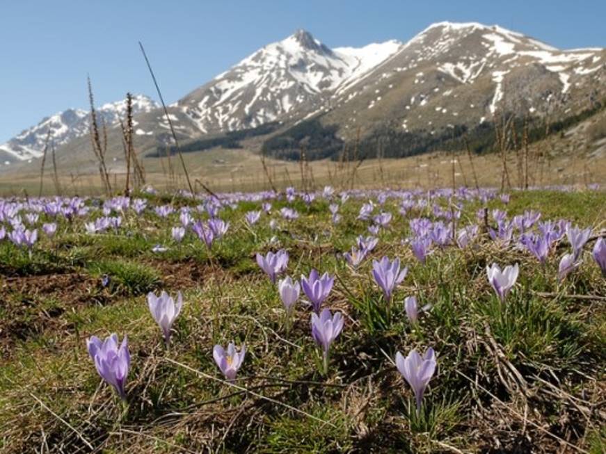 ACV Travel lancia il suo invito: l&amp;#39;Abruzzo delle esperienze