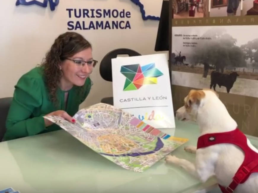 Pet-friendly che vale: il cane Pipper fa il turista e scrive recensioni