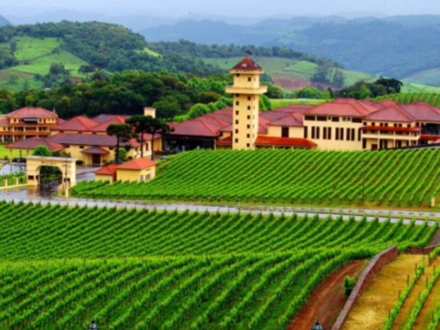 Il nuovo Brasile dei tour del vino