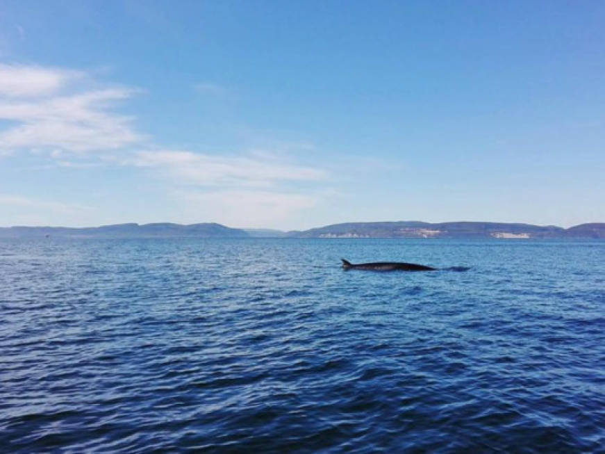 Come nasce una destinazione turistica: anche il Canada ha la sua Loch Ness
