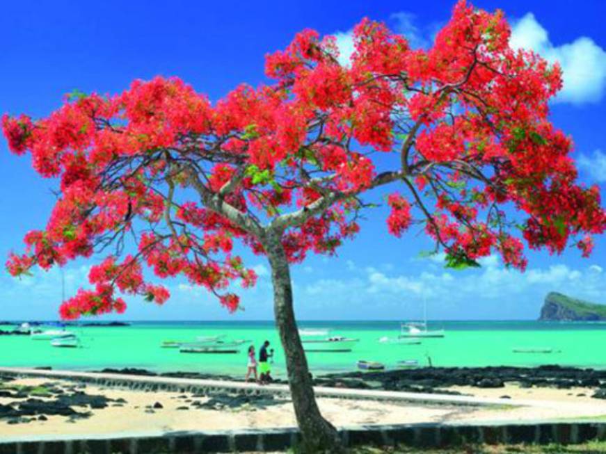 Mauritius e SeychellesIl paradiso si apre per tutti