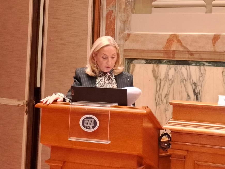 L’appello degli albergatori“Serve politica industriale”