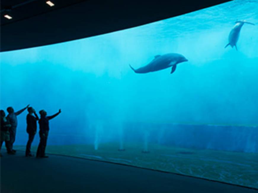 Riapre il 28 maggio l’Acquario di Genova