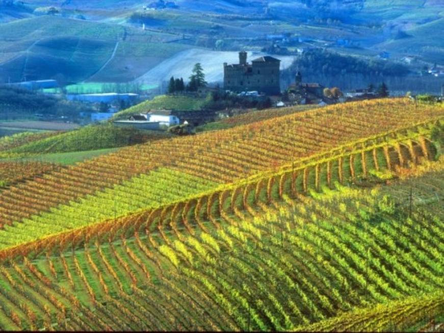 Il Piemonte lancia la candidatura Unesco dei paesaggi vitivinicoli