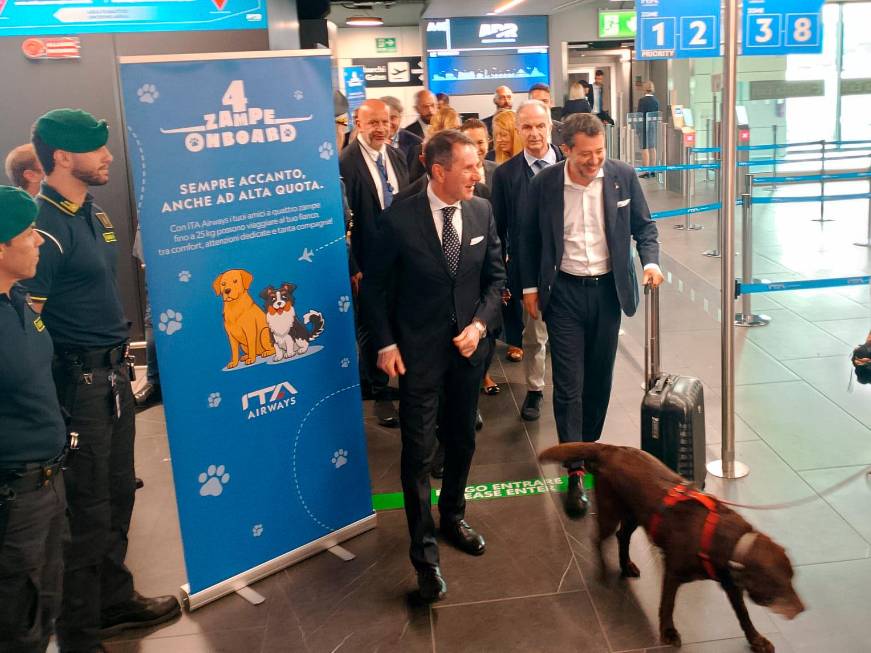 Cani a bordo in aereo: effettuato il primo volo di Ita Airways