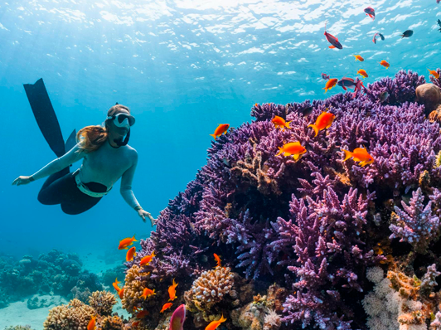 Il valore dell’esperienzaL’occasione delle agenzie