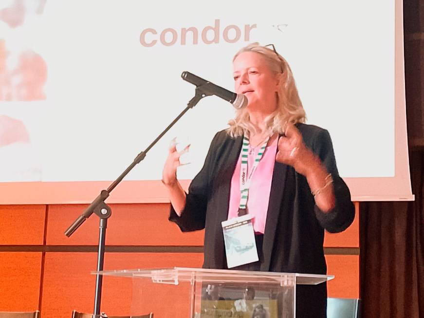 Condor allungasull’Italia: i pianiper l’estate 2026