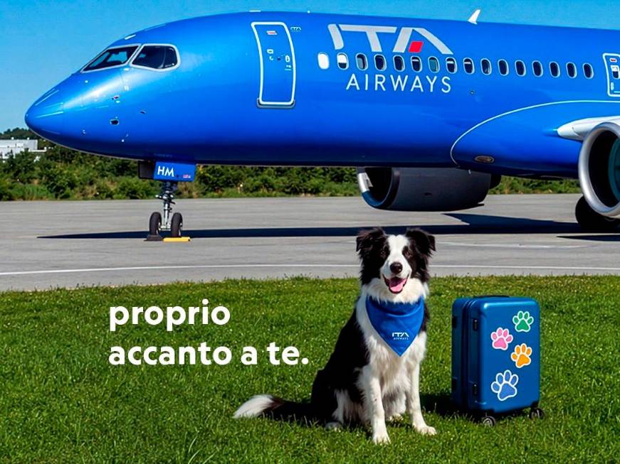 Ita Airways avvia il servizio “Large Dog On Board” per cani di grossa taglia a bordo