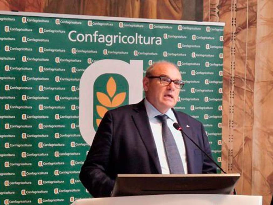 Agriturismi, estate a rilento: presenze in calo e soggiorni più brevi