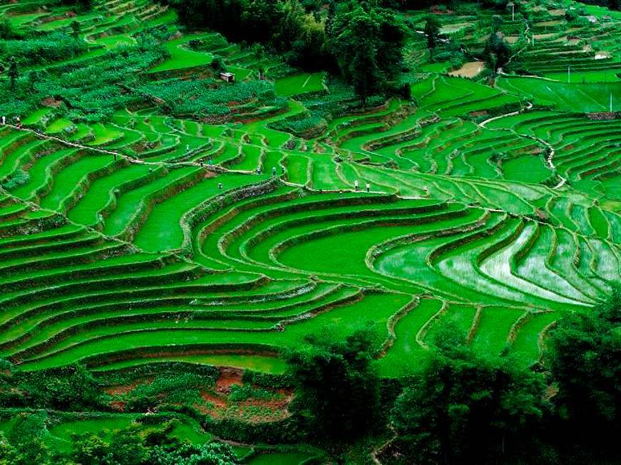 Shiruq, i nuovi viaggi 2026 fra Africa e Asia