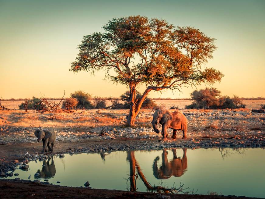 Estate 2026, cresce l’AfricaCambia la mappa dei viaggi
