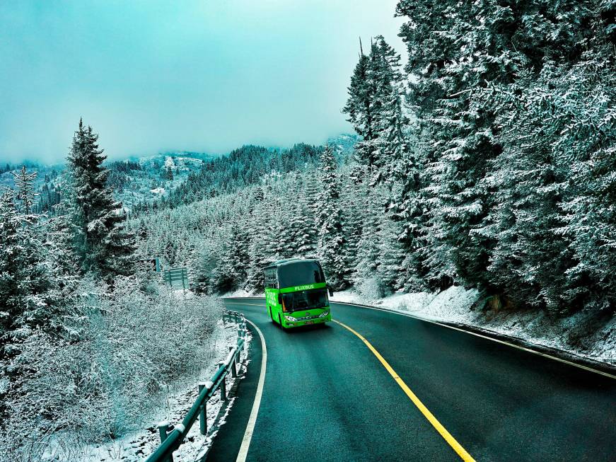 Flixbus e l’effetto Olimpiadi: prenotazioni quadruplicate