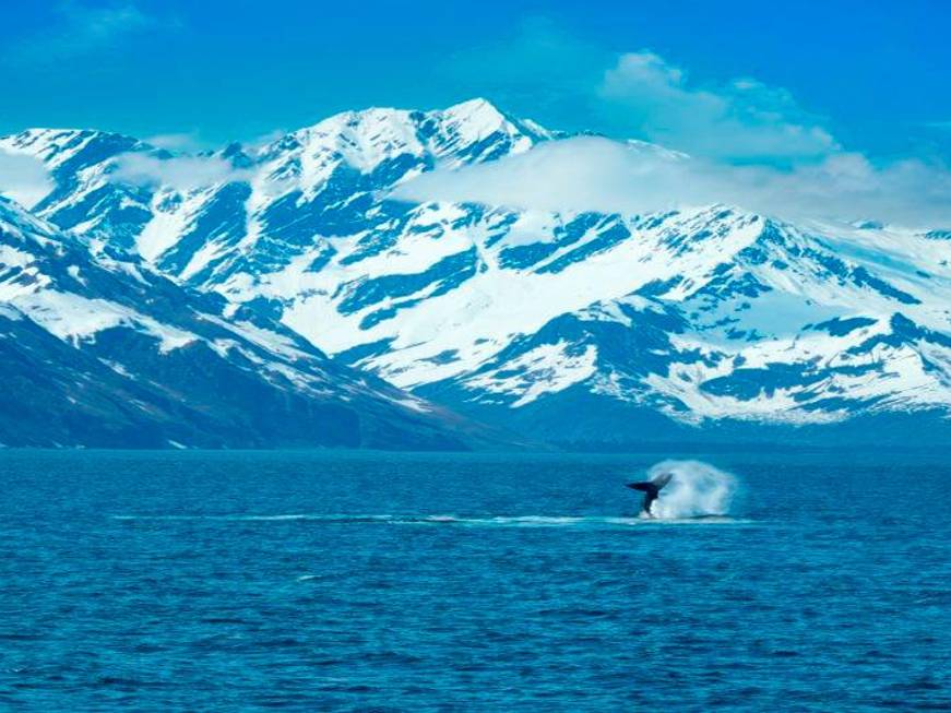 L’Alaska selvaggia di Usa Experience, gli itinerari 2026