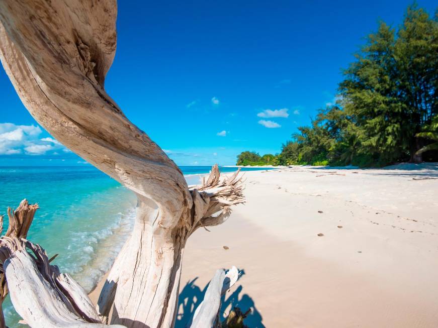 Seychelles, arrivi da record: dall’Italia crescita del 18%