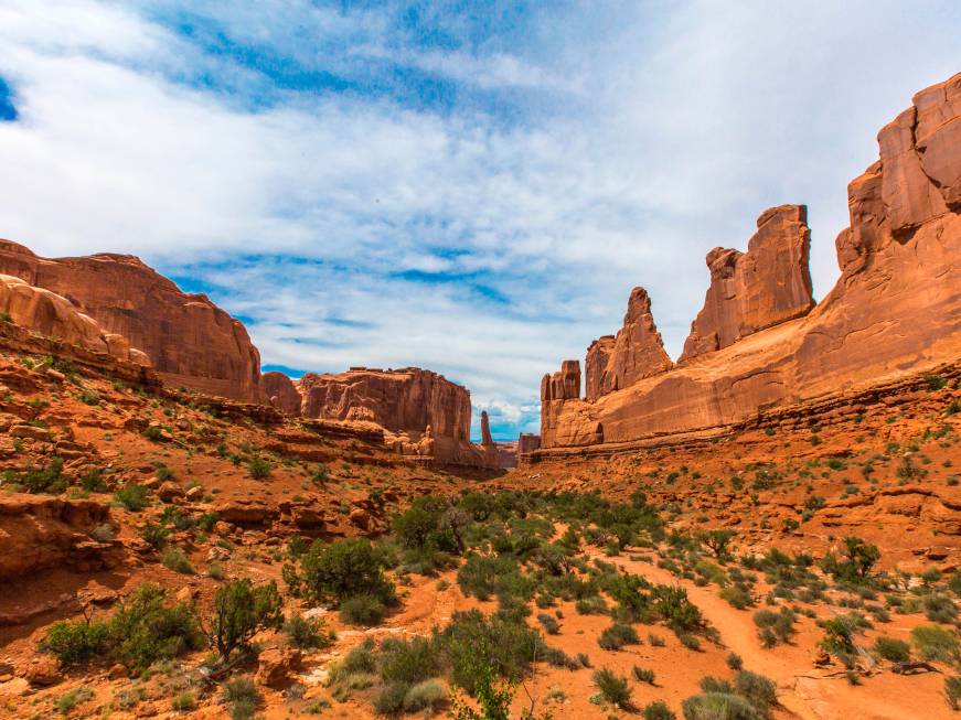 Usa, arriviinternazionaliin calo nel 2025