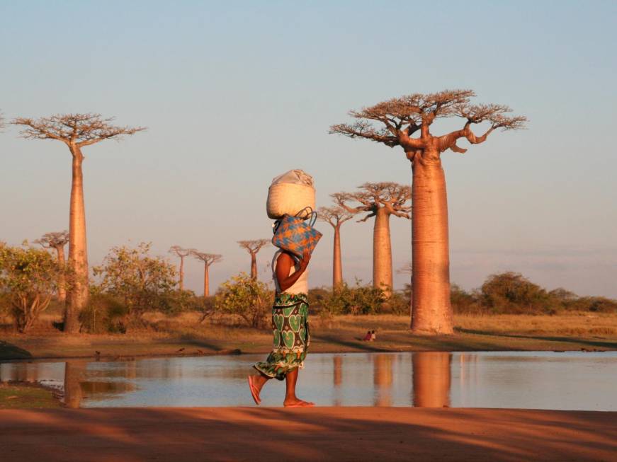 Il Diamantein Madagascar:“Sogno sostenibile”