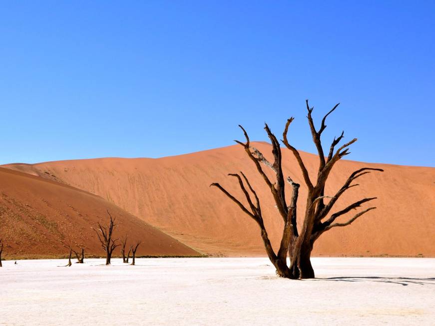 Namibia, riapre il Wilderness Desert Rhino Camp
