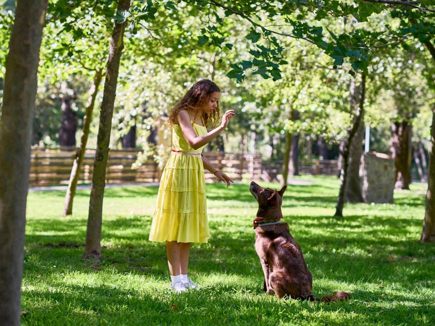 Bluserena sempre più pet-friendly: i nuovi servizi